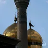 laylahabib313