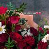 menna.tarek719