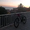 angelo.cardizzone