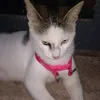 ferreiraz.xpq
