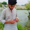 mazhar.online.bus4