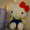 anysilssw