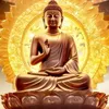 phatphapnhiemmau0484