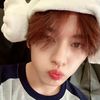 lee.does.know