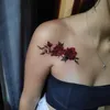 sintiaschnaider