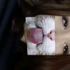 vix_ss65
