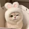 dshanelyh
