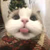 Mỗi ngày 1 tốt