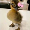 nwe.yein.htel77