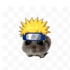 animeshnik5111