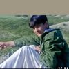 .zadran31