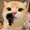 meeeiikooo