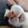 marianoverdura_
