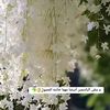 user6187160870605