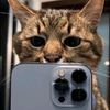 mira_jk05