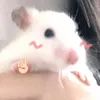tola_meoo_