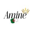 Amine Edits