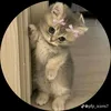 lamimahmed28