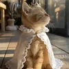 zeinabeshiri0