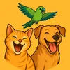 thefunniest_animals