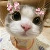 nourrr_sree