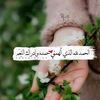 user6920651605329