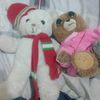 oso.blanco.y.sr.o