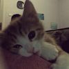 pweetysoull_1506