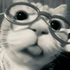 awa.lwnssa3