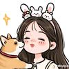 user529156426