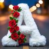 user3637011409