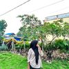 auraa.nahak