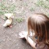 ducky_world5