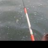 nbnargetinbeong028