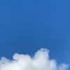 wawerts