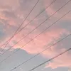 rii_o524