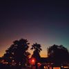 tjr_glazer67