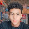 user11295922387745