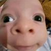 pich.nalika120