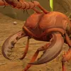 ant_enjoyer
