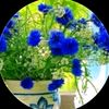 lale0572