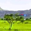geenyadaogaaden