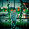 arafat__4431