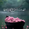 nadeen.ali743