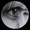 noibuon431
