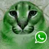 user4378618001316