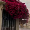 hwsam.al.abood