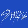 skzzstay63