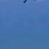 bosshcj0