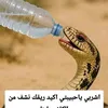 user3852444567786